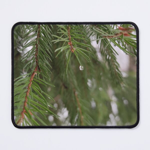 Item preview, Raindrops on spruce trees designed and sold by tshuki.
