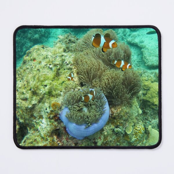 Item preview, Beautiful underwater scenery with lots of corals designed and sold by ReginaldBerenos.