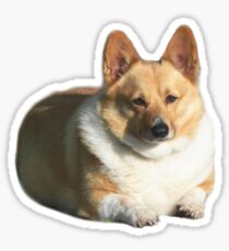 Pegatina Pegatinas Doggo: Big Boy