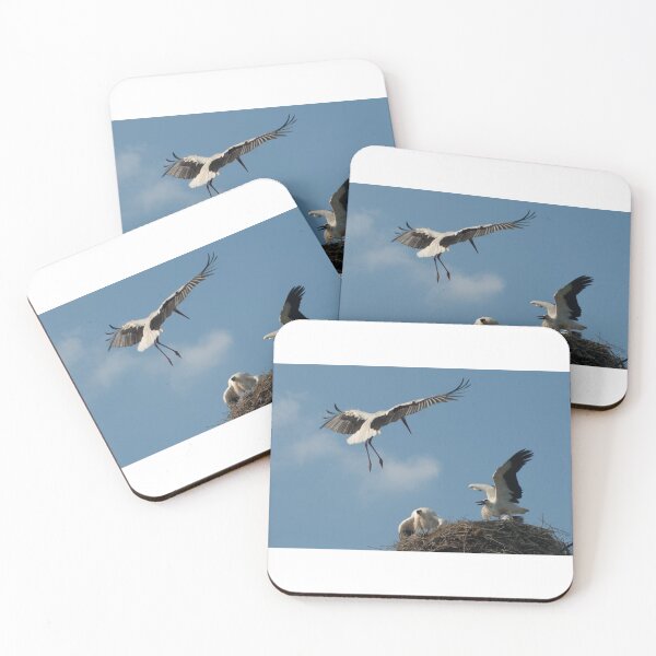 Item preview, A stork family reunion designed and sold by Animal-Photos.