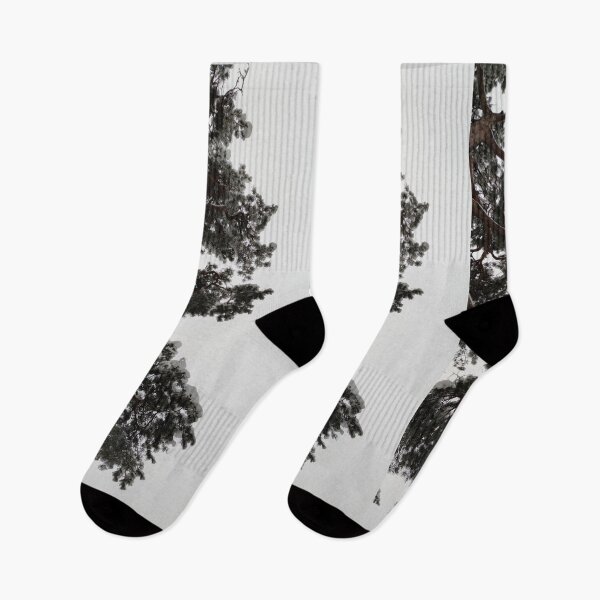 Item preview, Snow covered somber pine designed and sold by tshuki.