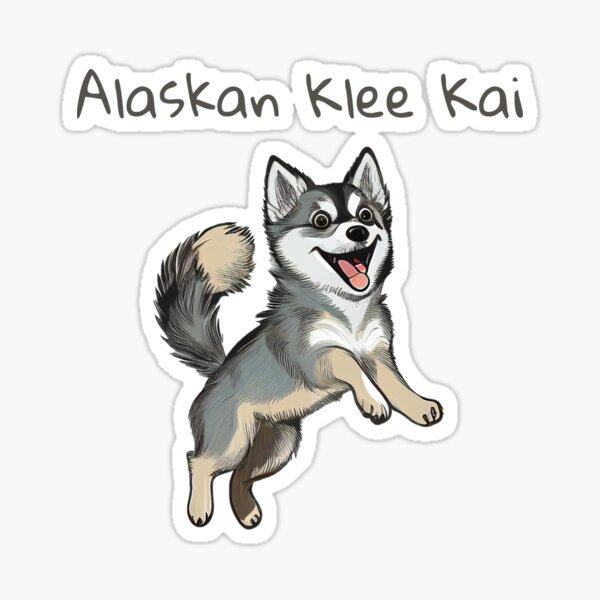 The Alaskan Klee Kai So adorable  Alaskan klee kai, Unique dog breeds,  Hybrid dogs