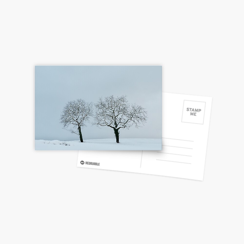 Item preview, Postcard designed and sold by patmo.