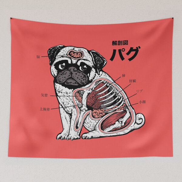 Item preview, Pug Anatomy  designed and sold by Huebucket.