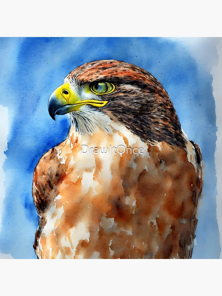 Imagen 3 de 3, Póster con la obra Falcon highly detailed watercolor painting, diseñada y vendida por DrawItOnce.