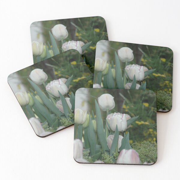 Item preview, Didiers Tulip (Tulipa Gesneriana) Pink White Easter Botanical Flowers Garden designed and sold by VistaViews.