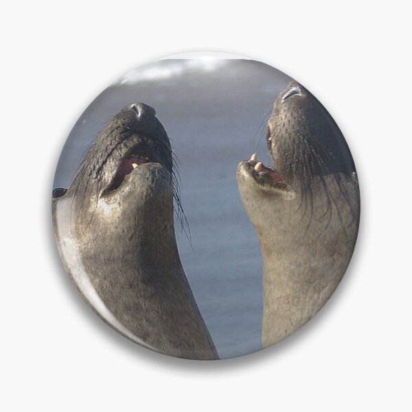 Item preview, Singing Seals designed and sold by CaptJohnny.