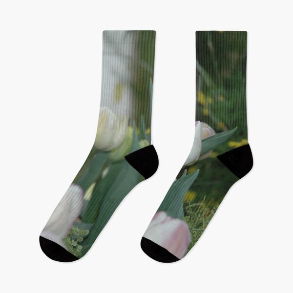 Item preview, Didiers Tulip (Tulipa Gesneriana) Pink White Easter Botanical Flowers Garden designed and sold by VistaViews.