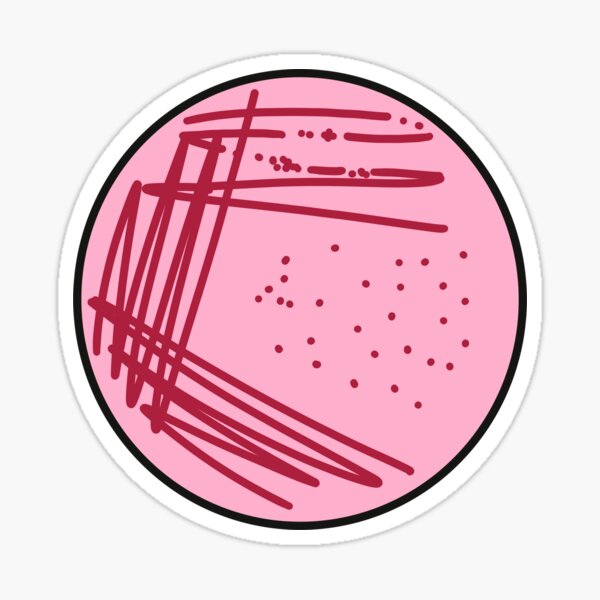 Artikel-Vorschau von Rosa gestreifte Petrischale, designt und verkauft von irisreads.
