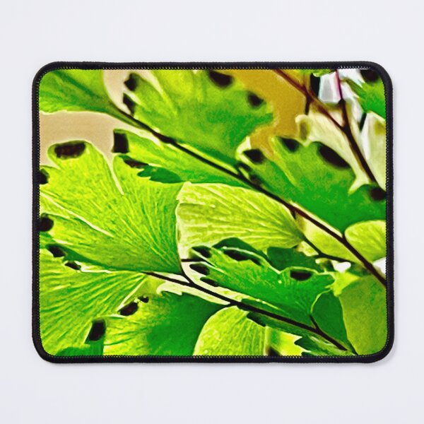 Item preview, Maidenhair Fern designed and sold by Julie Pitman.