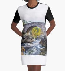 Little Garve Bridge Graphic T-Shirt Dress