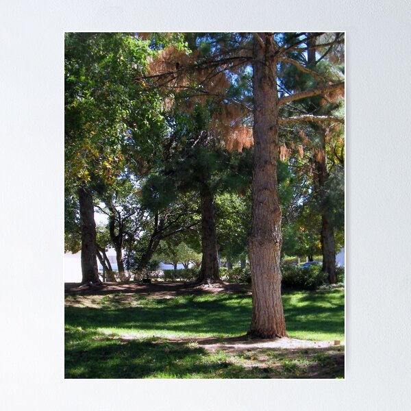 Item preview, Shade designed and sold by R&PChristianDesign &Photography.