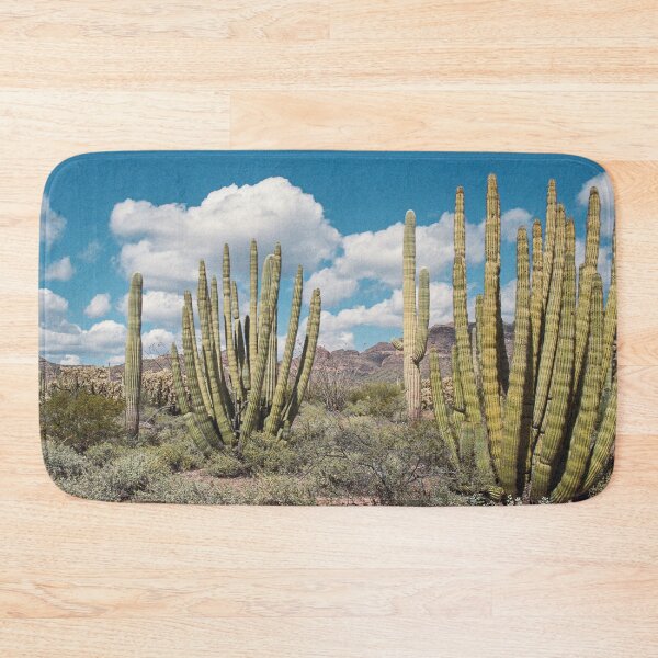 Item preview, Organ Pipe Cactus Desert Landscape Film designed and sold by Kevin Russ.