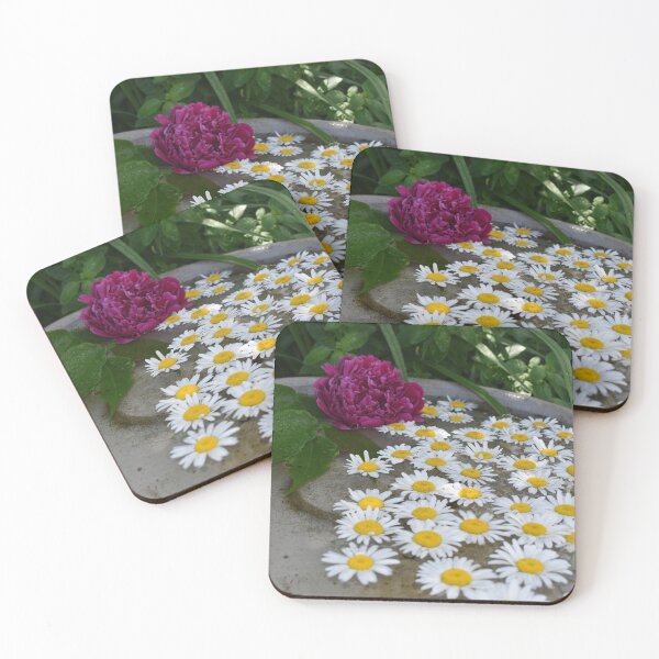 Item preview, Daisies in a pool of water designed and sold by Claude Laprise.