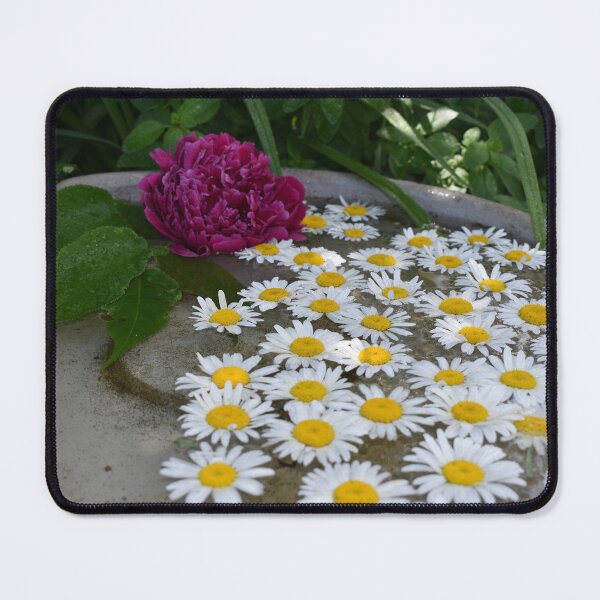 Item preview, Daisies in a pool of water designed and sold by Claude Laprise.
