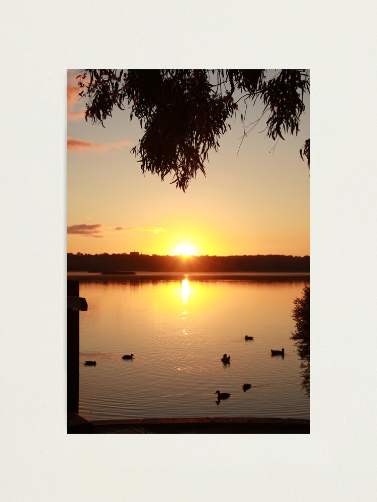 Alternate view of Sunrise over Lake Joondalup Photographic Print