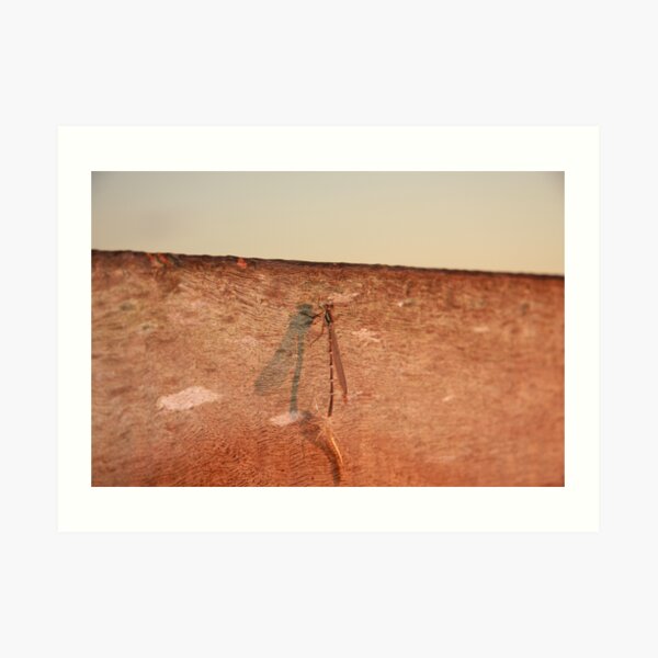Dragonfly on the jetty Art Print