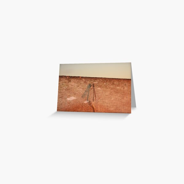 Dragonfly on the jetty Greeting Card