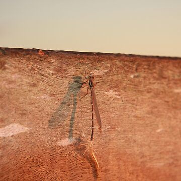 Artwork thumbnail, Dragonfly on the jetty by mistered