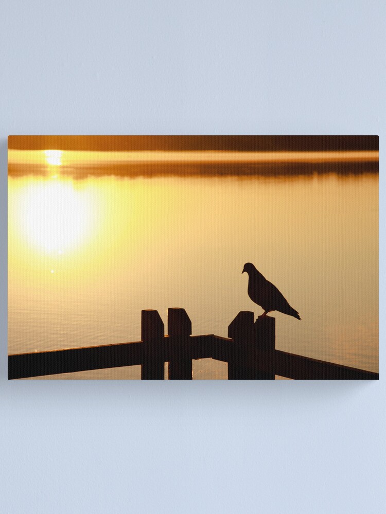Thumbnail 2 of 3, Canvas Print, Pigeon sitting on the jetty designed and sold by Andreas Koepke.