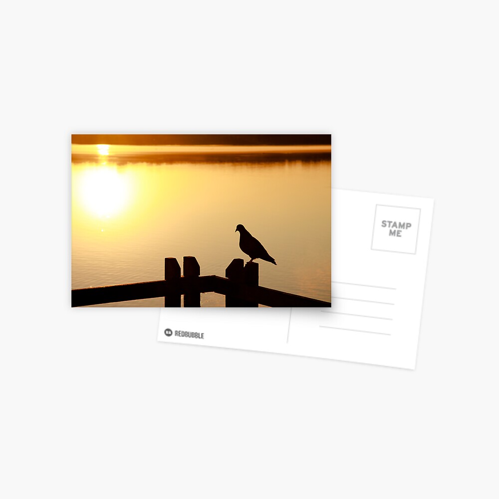 Item preview, Postcard designed and sold by mistered.