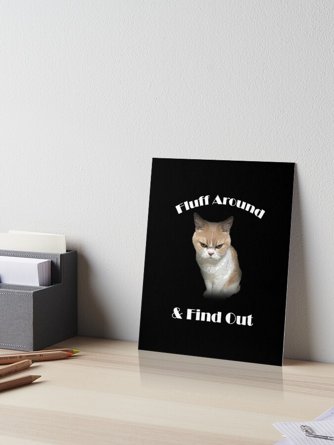 Fluff Around And Find Out Funny Cat Quote Throw Pillow for Sale