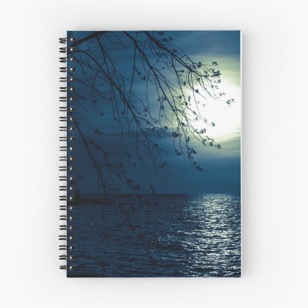 Item preview, Nighttime Overlooking the Lake designed and sold by MJRVisualArts.