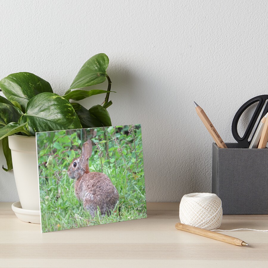 Item preview, Art Board Print designed and sold by ToniaDelozier.