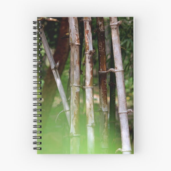 Item preview, Bamboo Stems designed and sold by VgBingi.