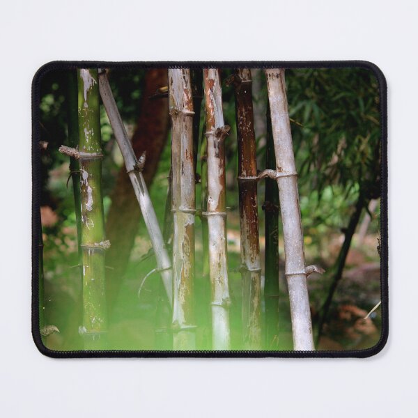 Item preview, Bamboo Stems designed and sold by VgBingi.