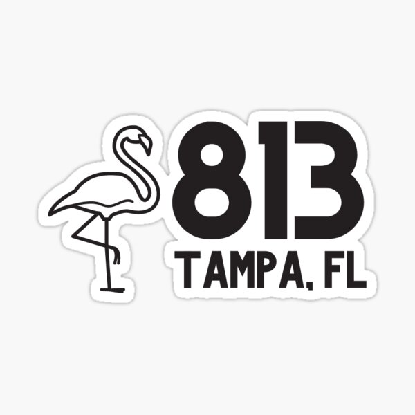 Tampa Bay Rays Tampa Bay Lightning and Tampa Bay Buccaneers 813