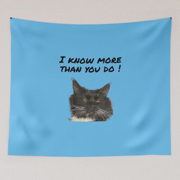 Item preview, I know more than you do ! designed and sold by TechLaughs.