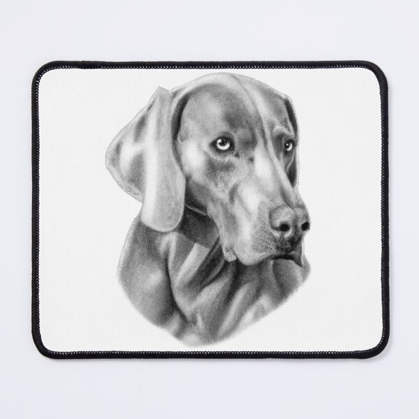 Item preview, Weimaraner Drawing | Beautiful Dog Art designed and sold by Portraits of Dogs.