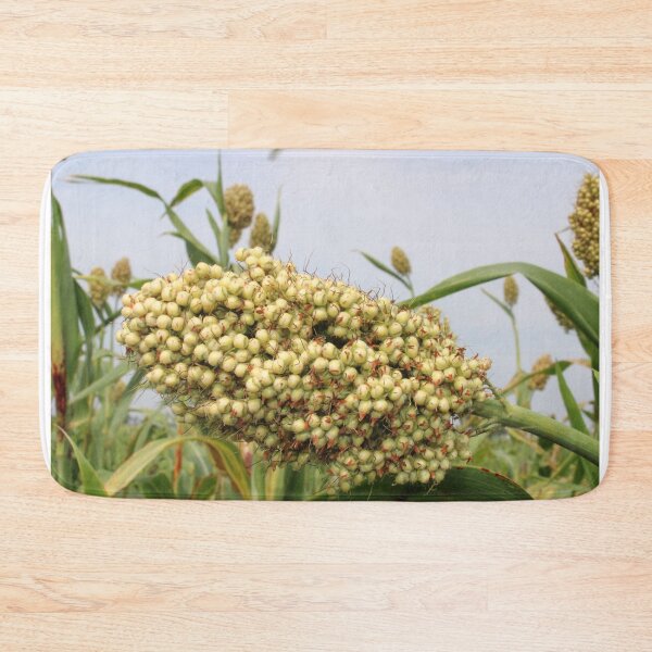 Item preview, Sorghum Grain Head. designed and sold by VgBingi.