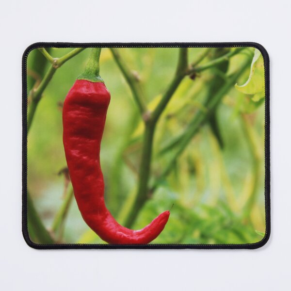 Item preview, Red Chilli is Hanging on the Plant. designed and sold by VgBingi.