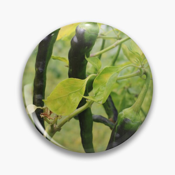 Item preview, Chillies are Hanging on the Plant. designed and sold by VgBingi.