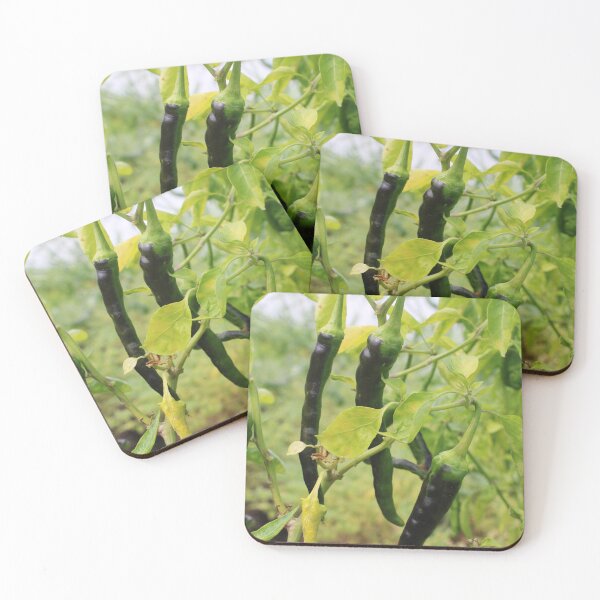 Item preview, Chillies are Hanging on the Plant. designed and sold by VgBingi.