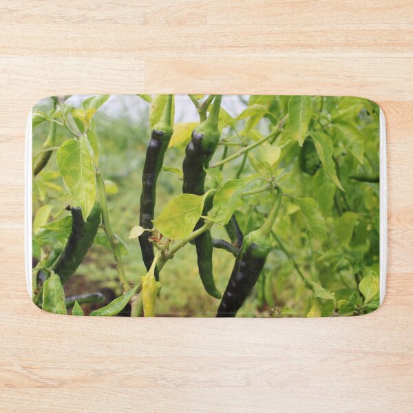 Item preview, Chillies are Hanging on the Plant. designed and sold by VgBingi.