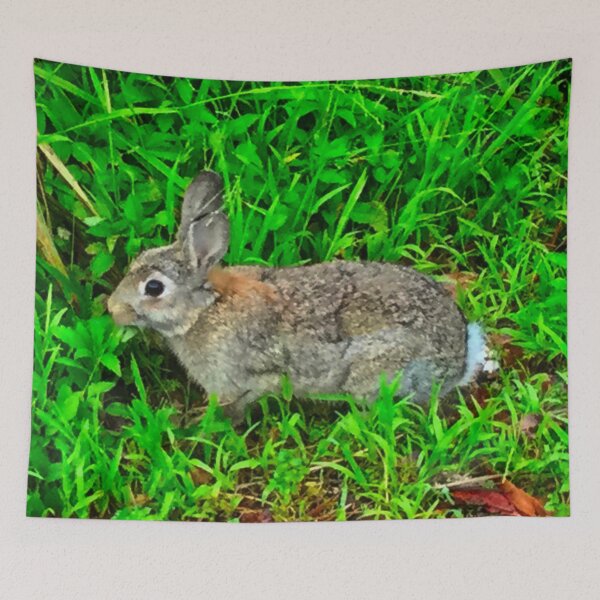 Item preview, Rabbit in the Grass! designed and sold by Mickangelhere.