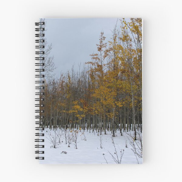 Item preview, Winter hike designed and sold by CanadianWild418.
