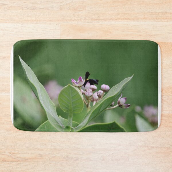 Item preview, Black Bumblebee Sitting on Calotropis Gigantea Flower. designed and sold by VgBingi.