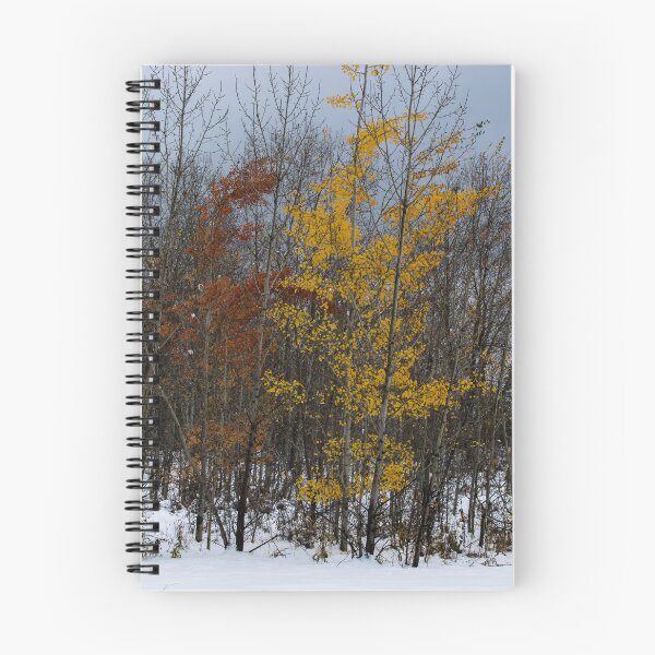 Item preview, Winter hiking designed and sold by CanadianWild418.