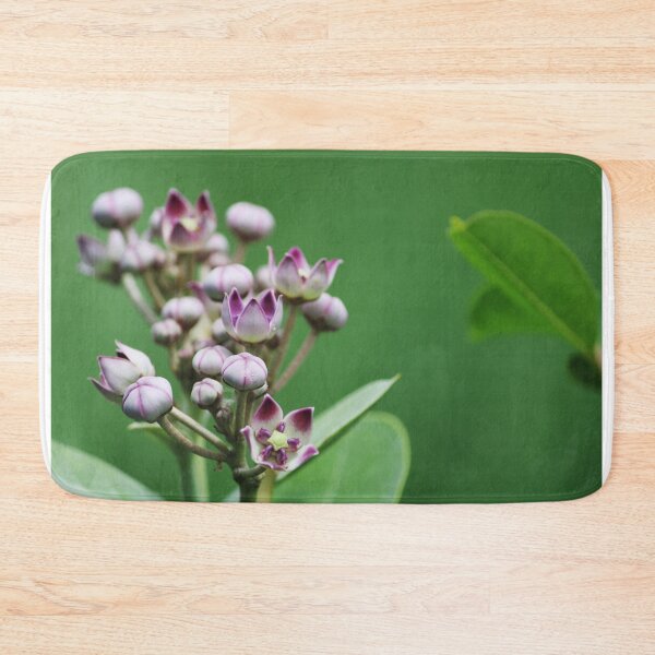 Item preview, Calotropis Gigantea Flowers. designed and sold by VgBingi.