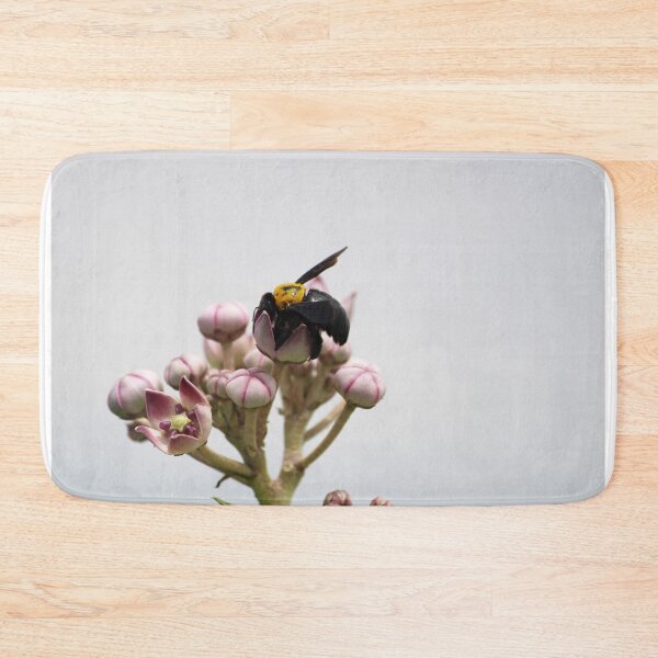 Item preview, Black Bumblebee Sitting on Calotropis Gigantea Flower. designed and sold by VgBingi.