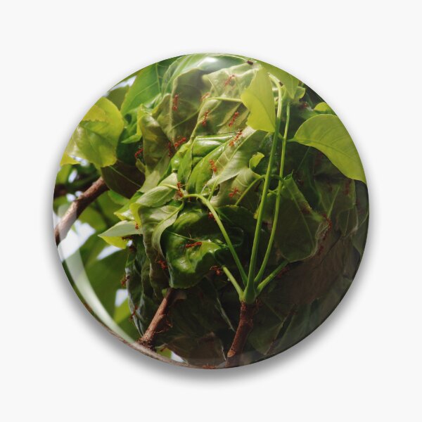Item preview, Red Ants Nest. designed and sold by VgBingi.