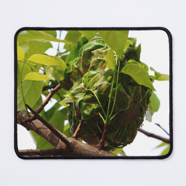 Item preview, Red Ants Nest. designed and sold by VgBingi.