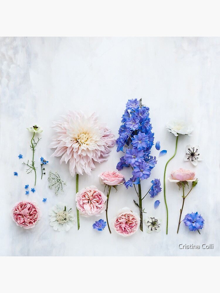 Summer flowers by cristinacolli