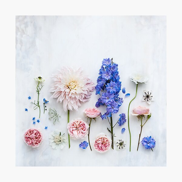 Summer flowers Photographic Print