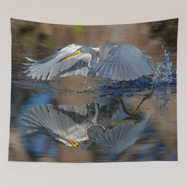 Item preview, Tricolored Heron fishing! designed and sold by Anthony Goldman.