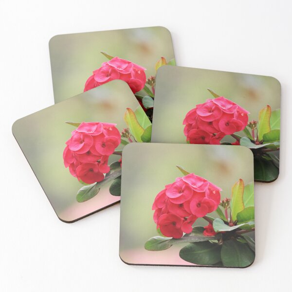 Item preview, Euphorbia Milii Flowers. designed and sold by VgBingi.